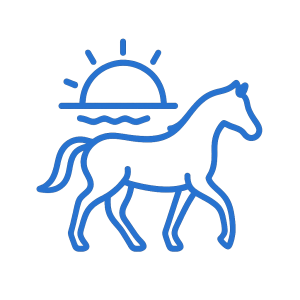 Sunset Horseback Riding